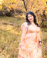 0B0A1588-2_pp
