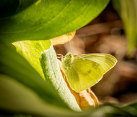0B0A8713-2