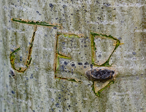 0B0A9550