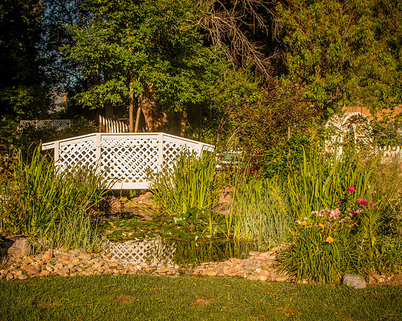 caddyjune_32