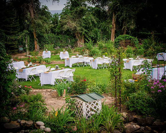 wedd_38