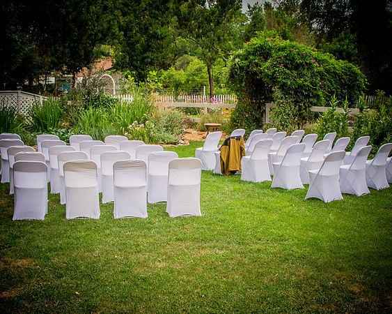 wedd_70