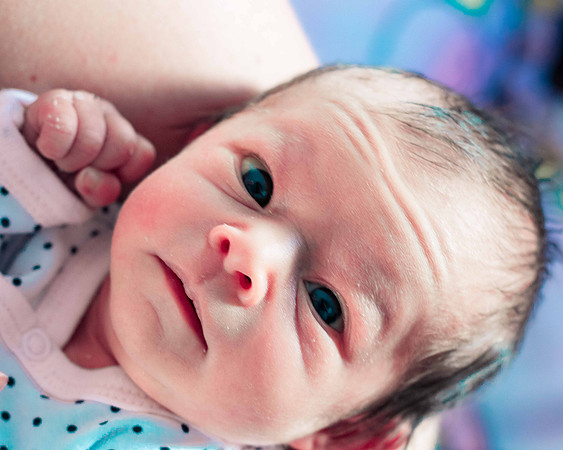 baby_41