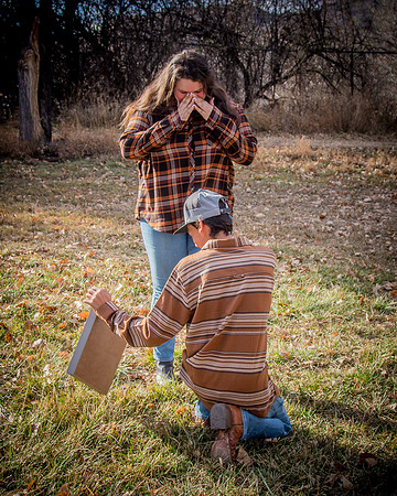proposal_95