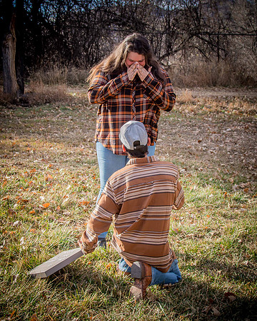 proposal_96