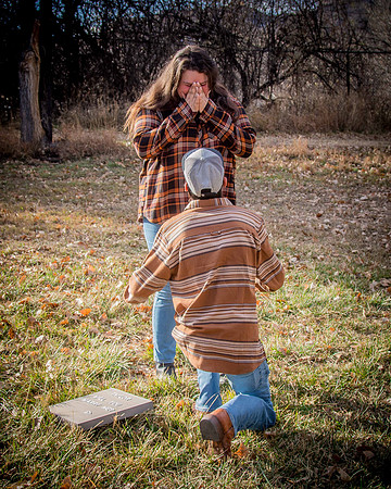 proposal_97
