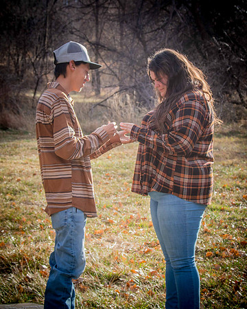 proposal_100