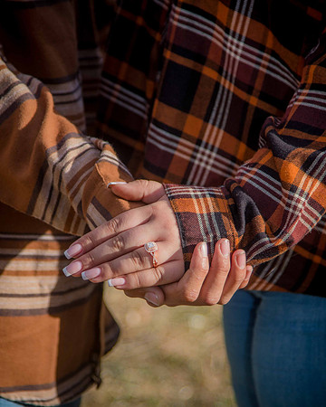 proposal_141