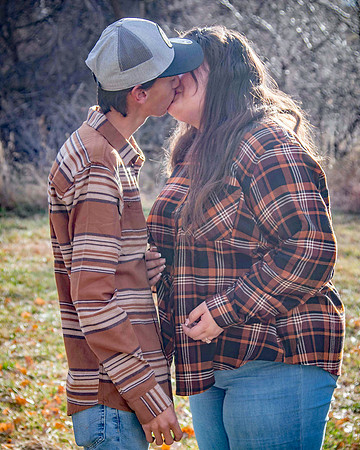 proposal_120