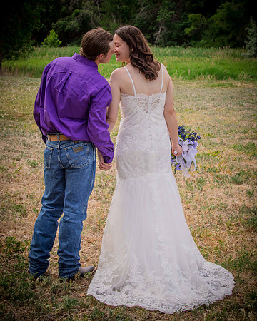 azwed_309