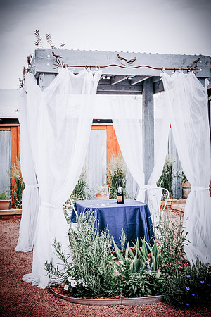 lavender_17