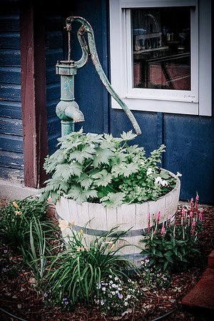 lavender_28