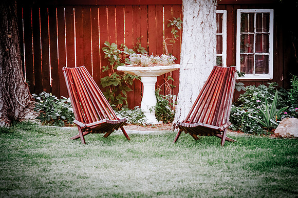lavender_49