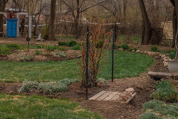 caddyapril2021_22