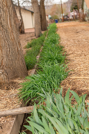 caddyapril2021_60