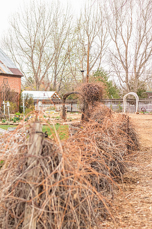 caddyapril2021_59