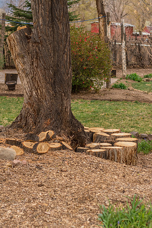 caddyapril2021_47