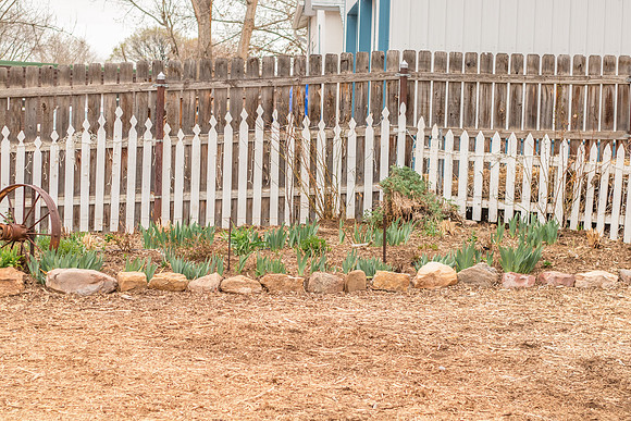caddyapril2021_66