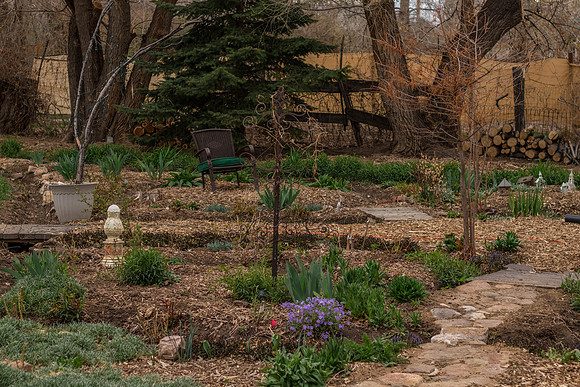 caddyapril2021_21