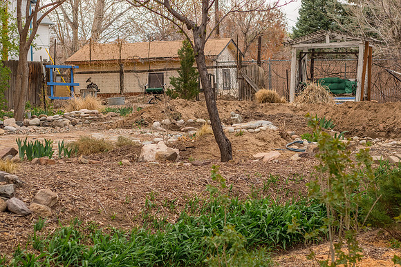 caddyapril2021_51