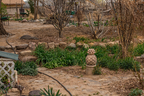 caddyapril2021_29