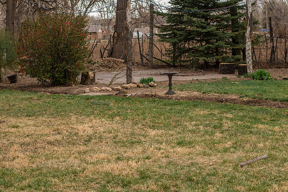 caddyapril2021_26