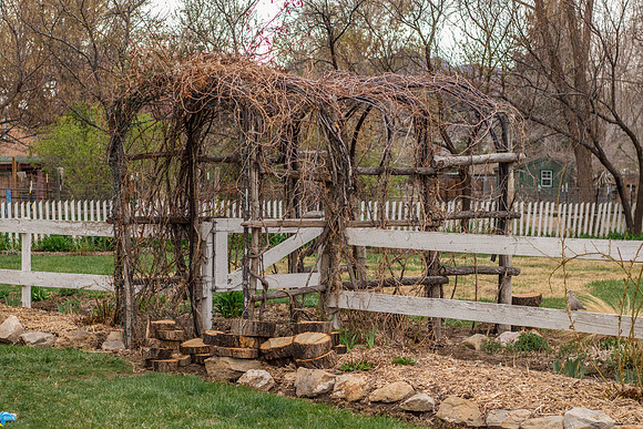 caddyapril2021_11
