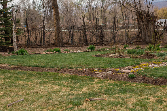 caddyapril2021_25