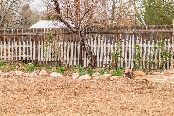 caddyapril2021_68