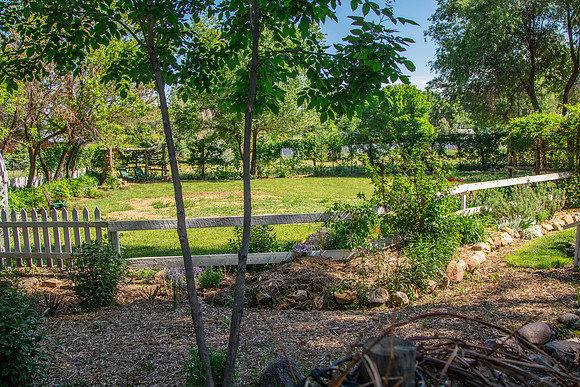 caddymay2021_87