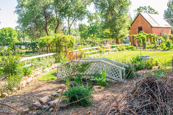 caddymay2021_88