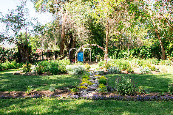 caddymay2021_54
