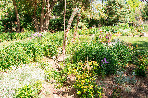 caddymay2021_61