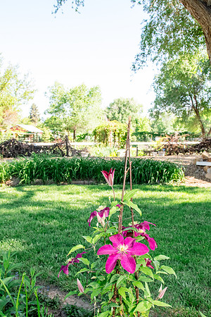 caddymay2021_50