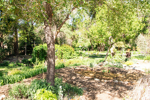 caddymay2021_69
