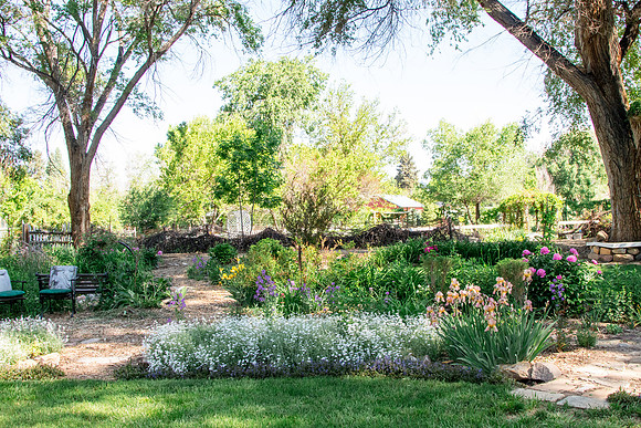 caddymay2021_52