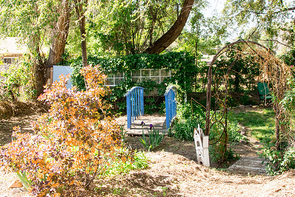 caddymay2021_68