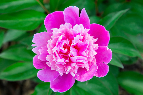 caddymay2021_43