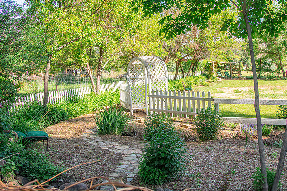 caddymay2021_86