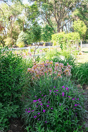 caddymay2021_7