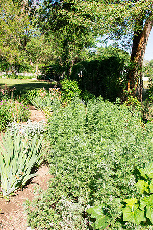 caddymay2021_4