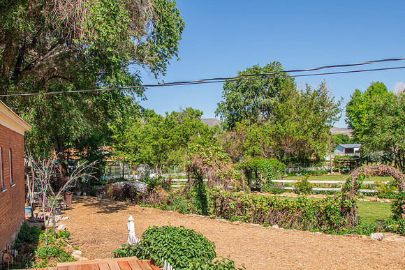 caddymay2021_78