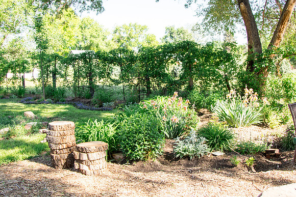 caddymay2021_9