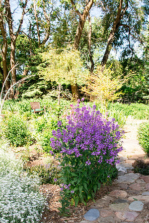 caddymay2021_48