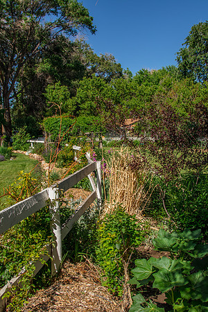 caddymay2021_6