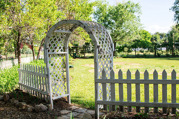 caddymay2021_26