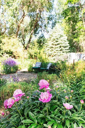 caddymay2021_51