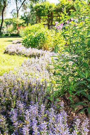 caddymay2021_25