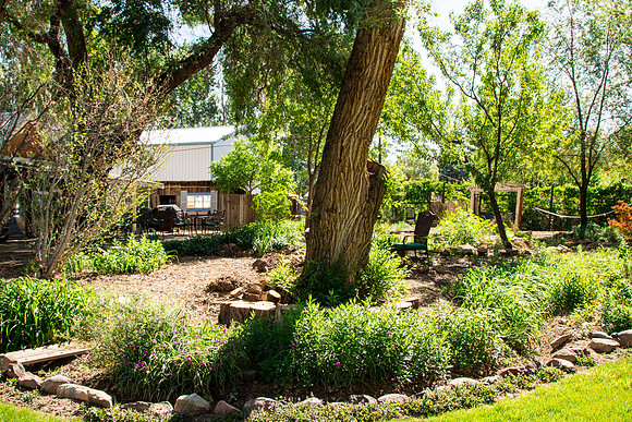 caddymay2021_64