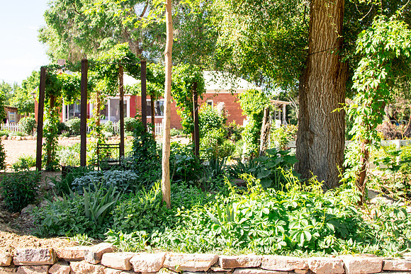 caddymay2021_5